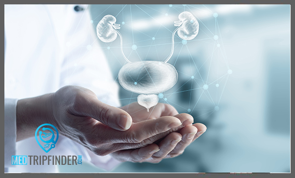 Cost-of-Enlarged-Prostate-Treatment-in-Egypt-2025