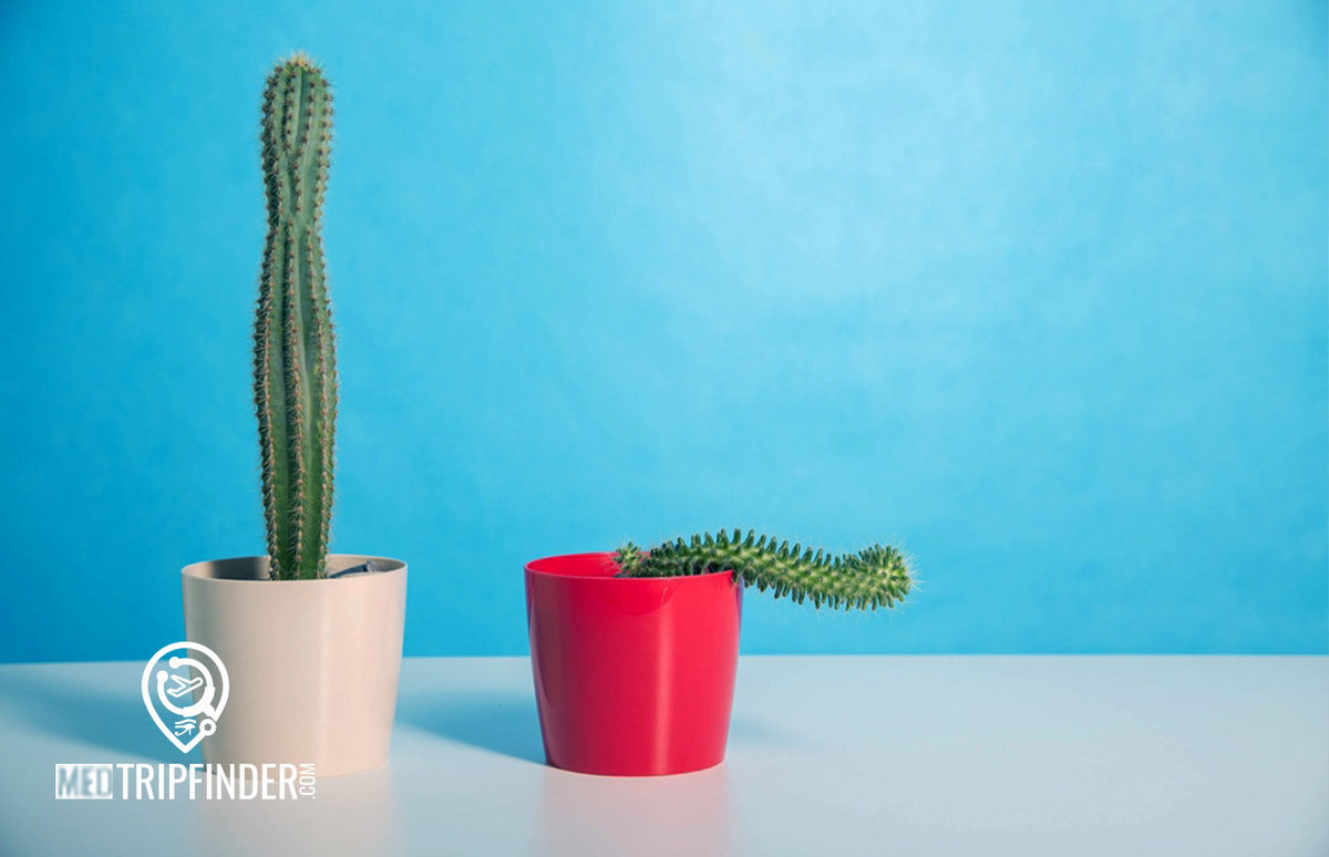 Treatment-of-erectile-dysfunction