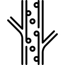 Varicose-vein