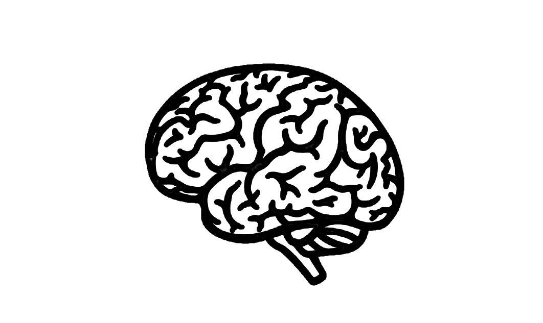 Online consultation with Dr. Adel Hassanein, professor of Neurology,