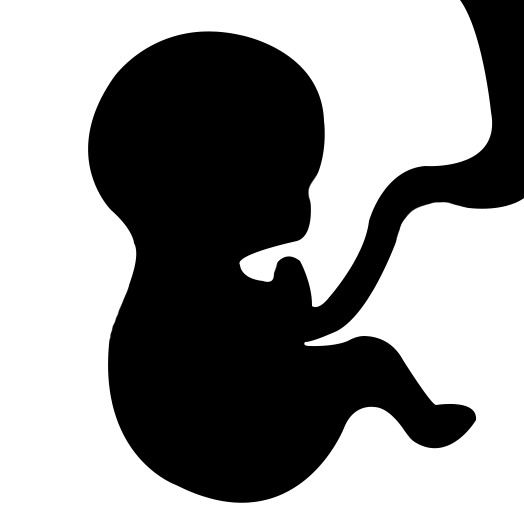 كشف فيديو كول مع د. سوزان سامي صلاح، استشاري النساء والتوليد والعقم 