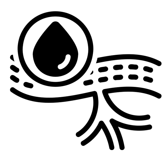 امراض-الاوعية-الدموية امراض-الاوعية-الدموية